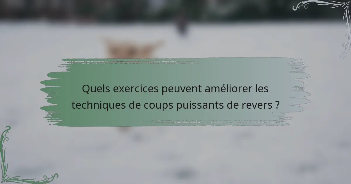 Quels exercices peuvent améliorer les techniques de coups puissants de revers ?